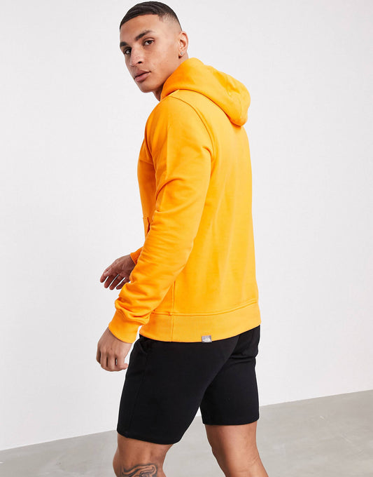 Northface lightweight hoodie