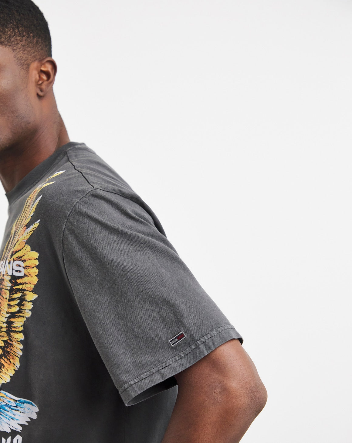 Tommyjeans eagle print tshirt