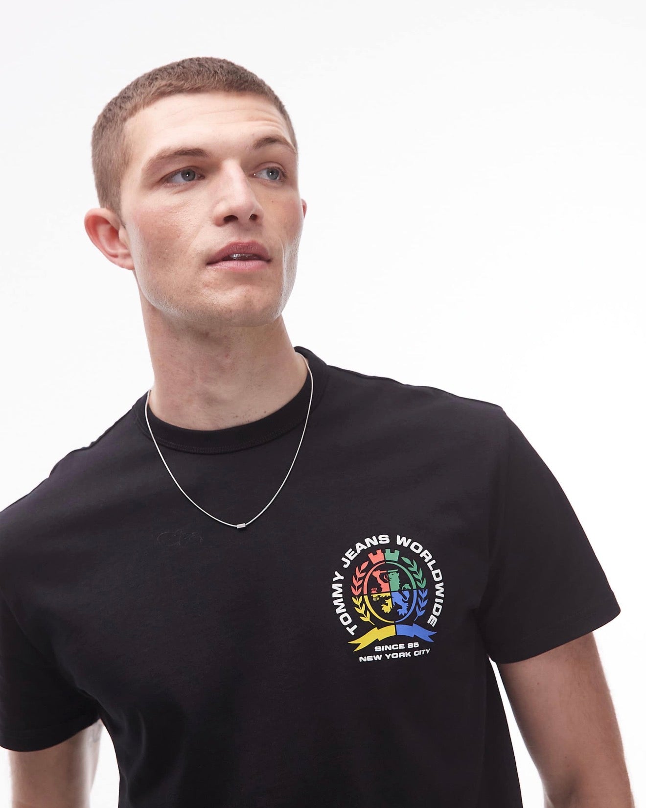 Tommyjeans Tshirt